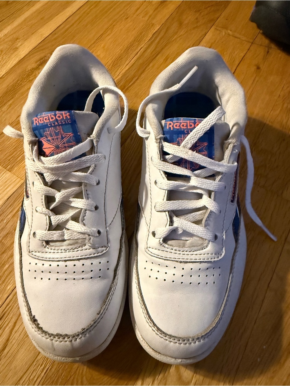 Reebok Kids' Classic White and Blue Leather Sneakers